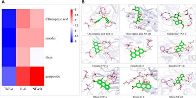 Protective Effects and Mechanisms of Yinchen Linggui Zhugan Decoction in HFD-Induced Nonalcoholic Fatty Liver Disease Rats Based on Network Pharmacology and Experimental Verification